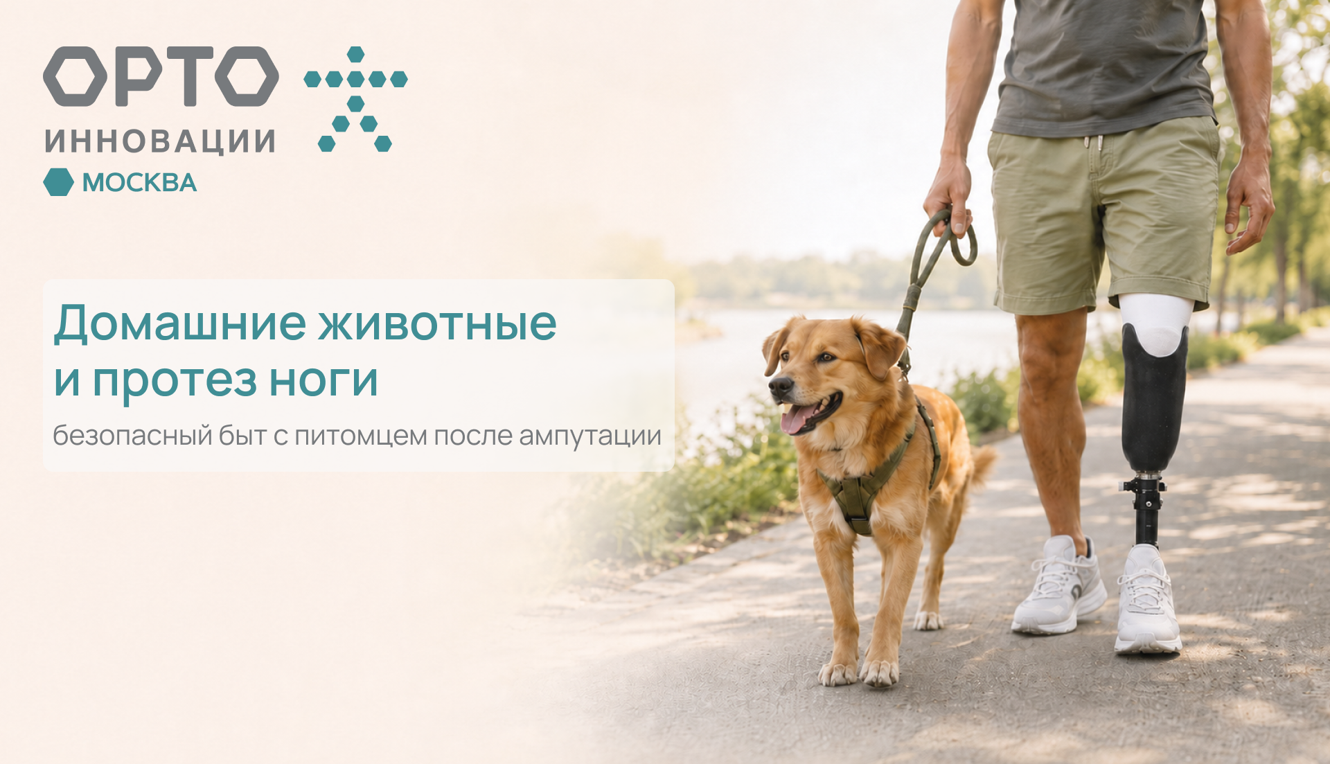 Домашние животные и протез ноги: поводок, прыжки, когти, шерсть и миски на полу
